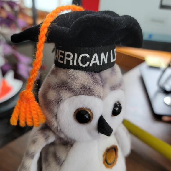 American Legion Wiser Beanie Baby. Custom Owl - Picture 5 of 5